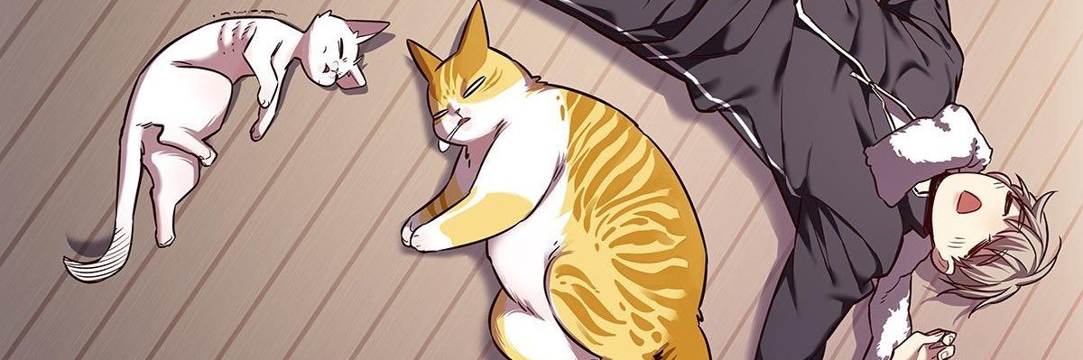 dobbybobbyboo's profile banner image