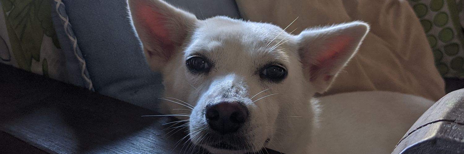 harivalentine_'s profile banner image