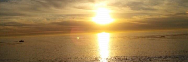 MiaMuse's profile banner image