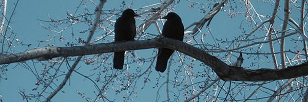 nothingofficial Profile Banner