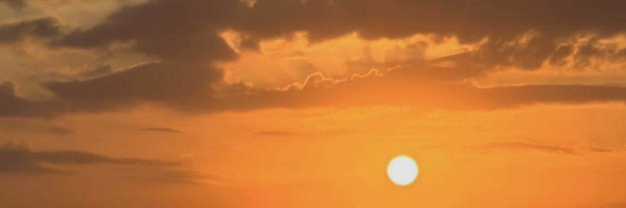 on Hiatus 😘🍯 banner