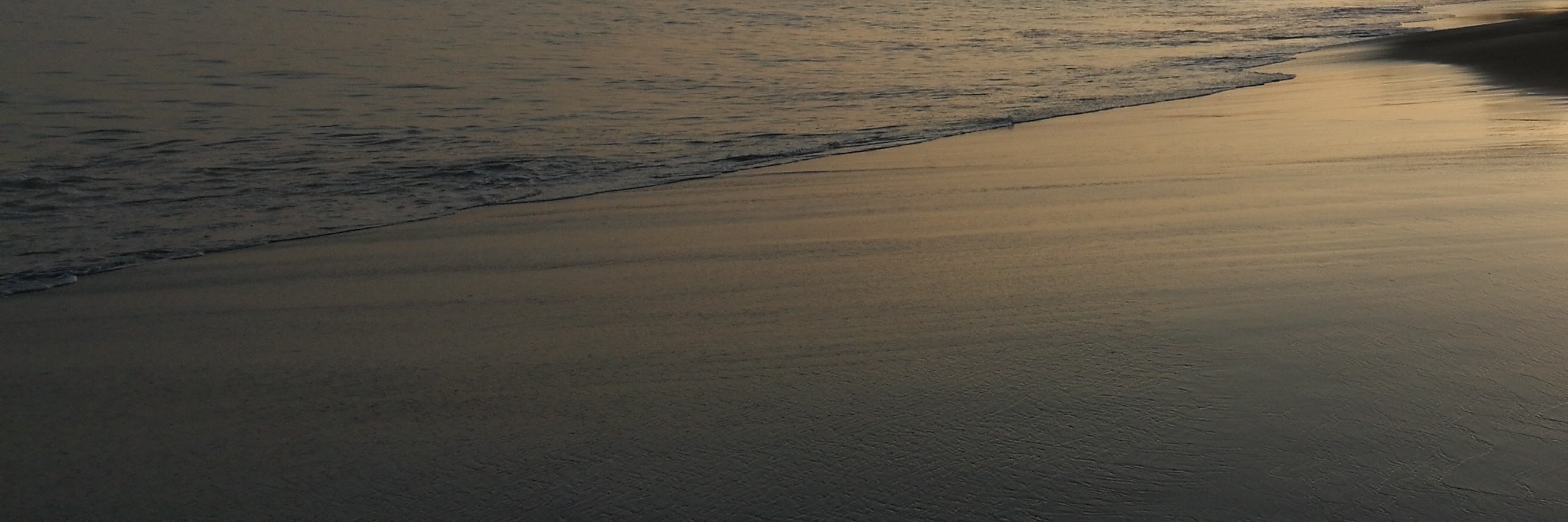 gustavoa's profile banner image