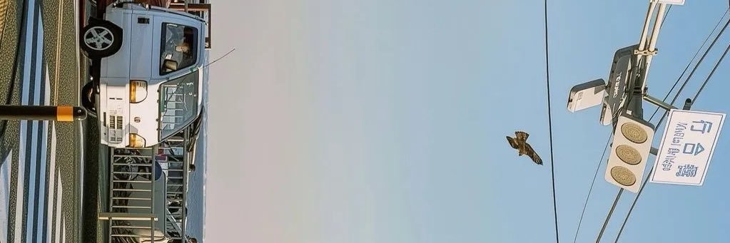 เรียกชั้นว่ากิ้งก่าทอมมี่ banner