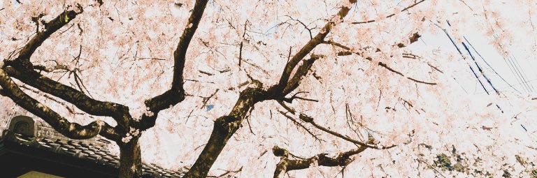 datioun's profile banner image