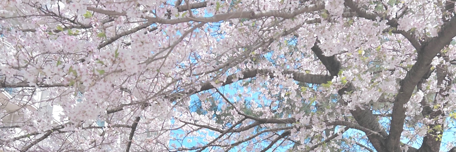 のん banner