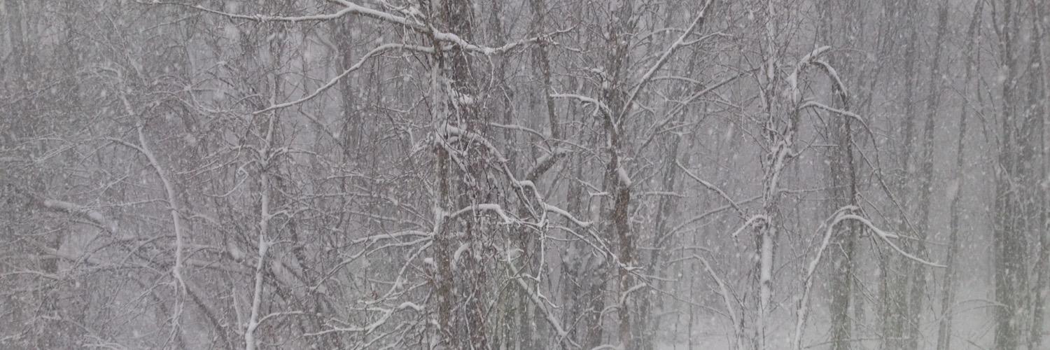3ddyFitz914's profile banner image