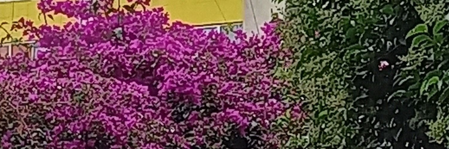 HaneMarie's profile banner image