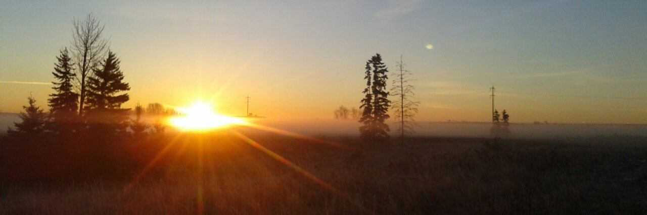 BlacksmithAyles's profile banner image
