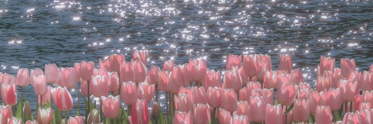 justlaady_'s profile banner image