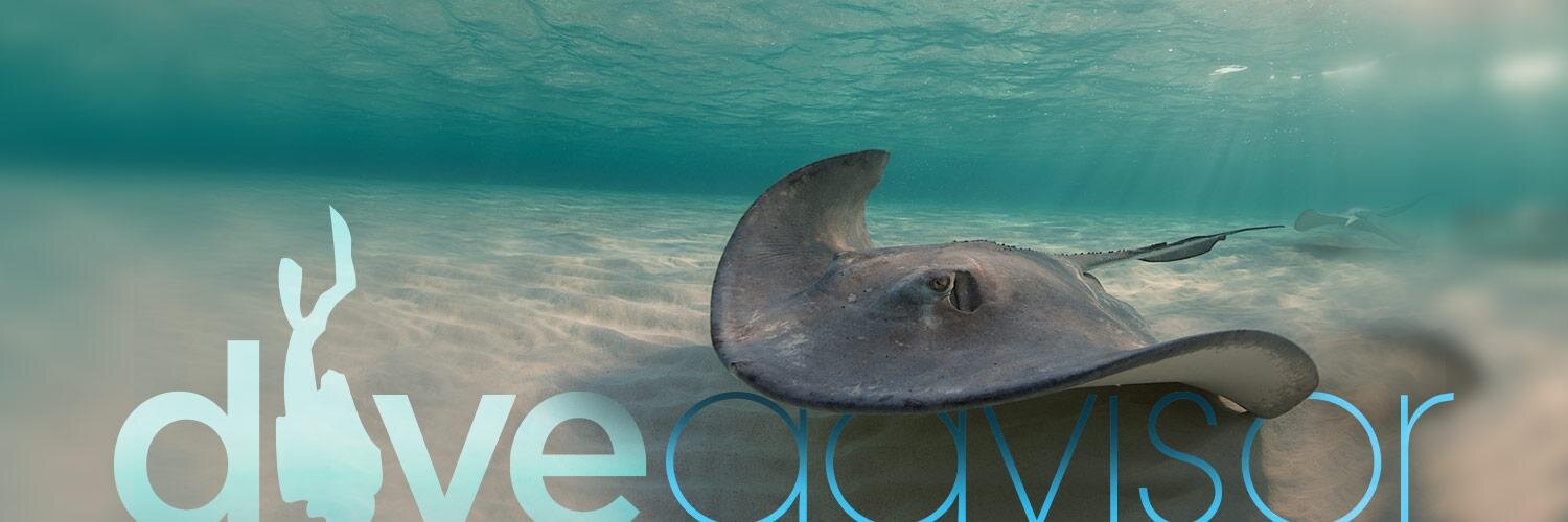 DiveAdvisorApp's profile banner image