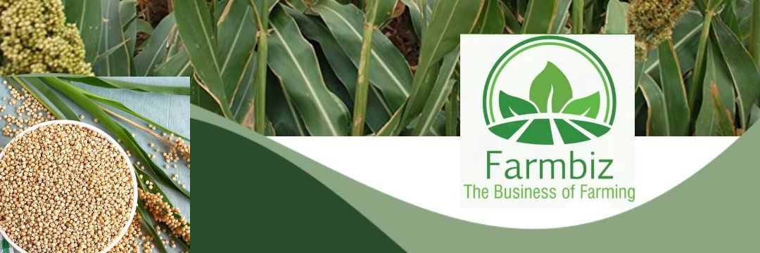 Farmbiz Zimbabwe banner