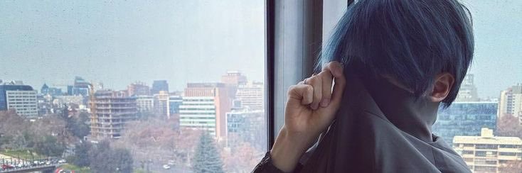 elyse banner
