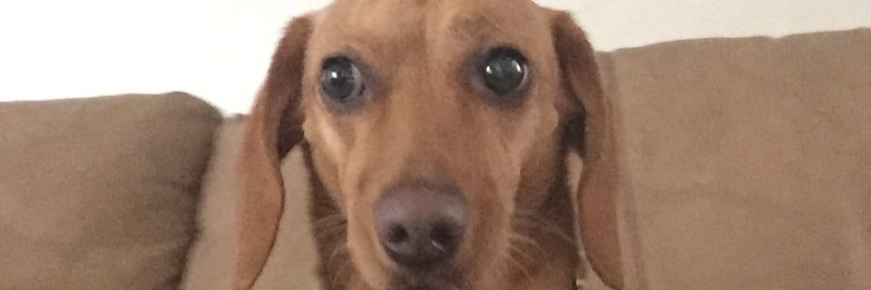 Daria_rs's profile banner image
