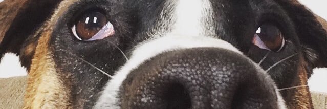 bayloney's profile banner image
