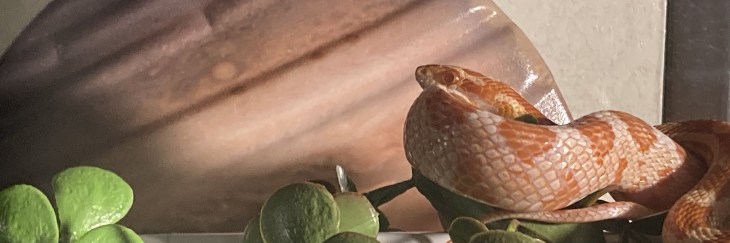 avhimo's profile banner image