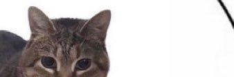 owjxp's profile banner image