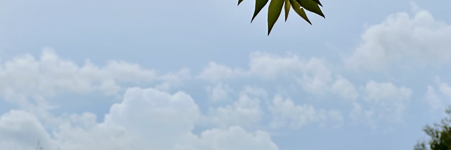 go_lof's profile banner image