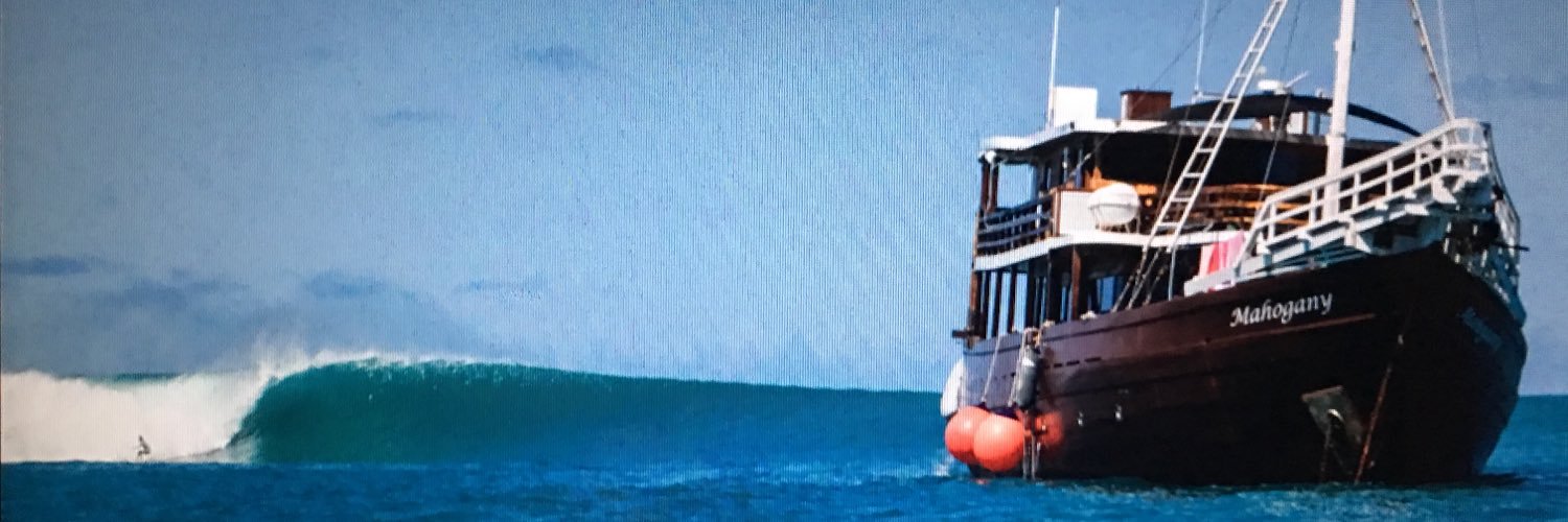 tigerss74's profile banner image