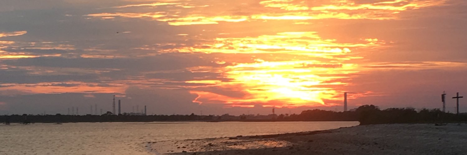 Salty Scallawag banner