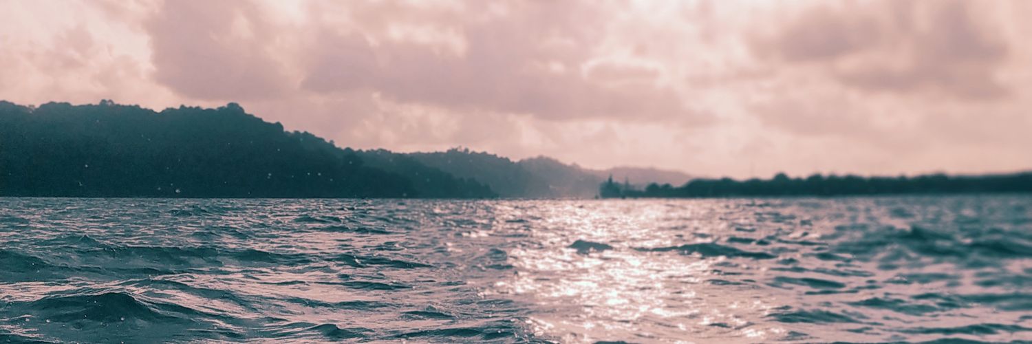 WFauzi_'s profile banner image