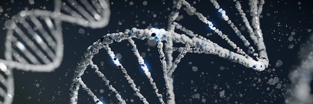 Mark: Longevity / Abundance / Singularity Tourist banner