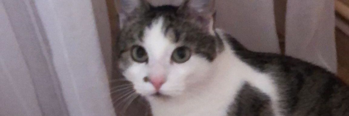 isaacpop___'s profile banner image