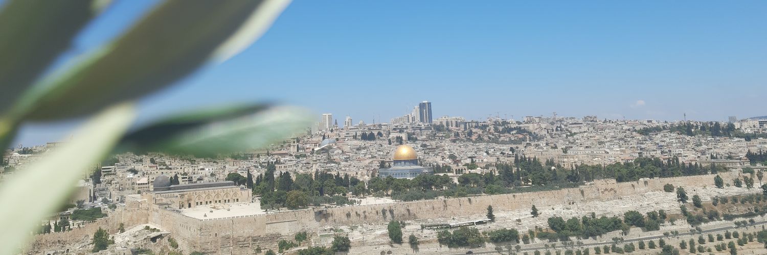 Gnl_Ansn's profile banner image