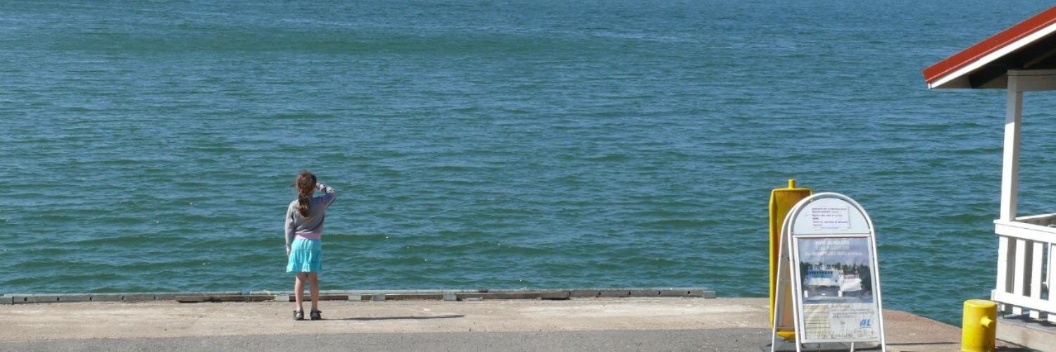 yoshi_stan's profile banner image