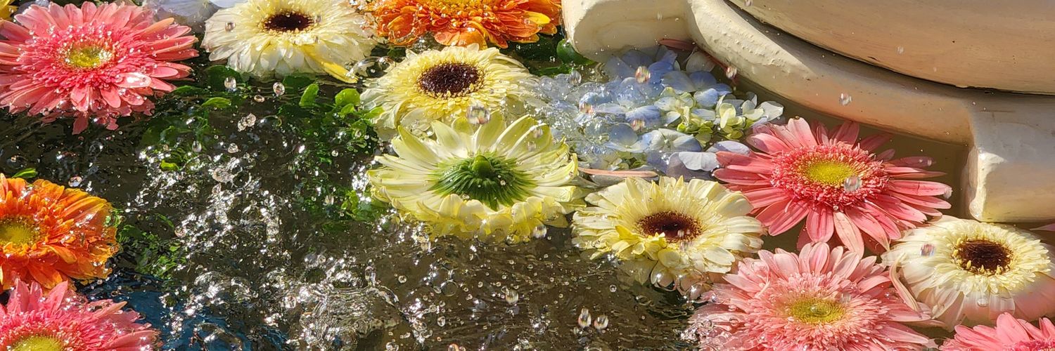 อาชีพอะไรเสียงดัง ตอบ เอะอะข้าราชทูต banner