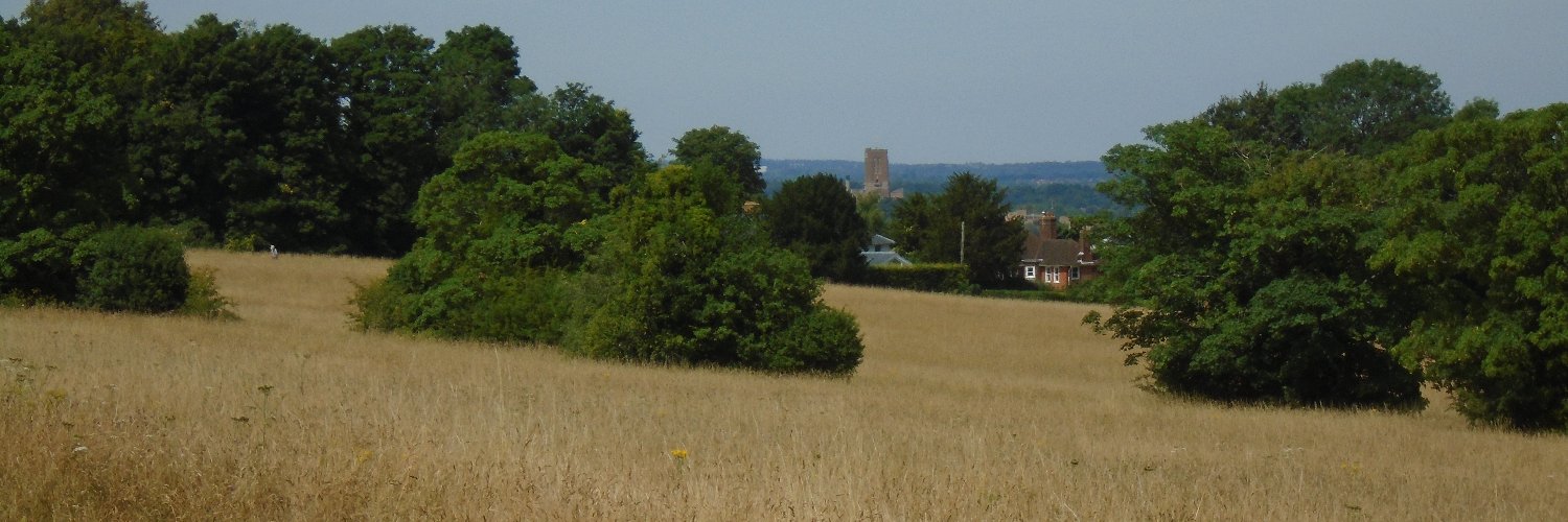 Save Merrow Downs banner