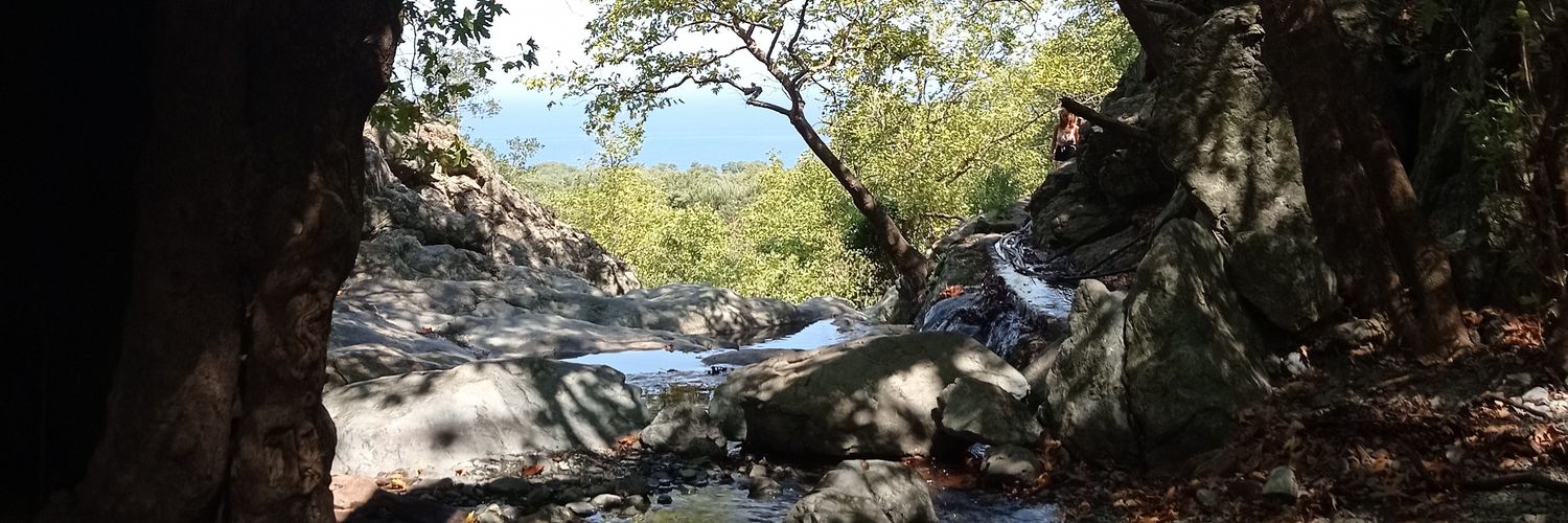 meropuli's profile banner image