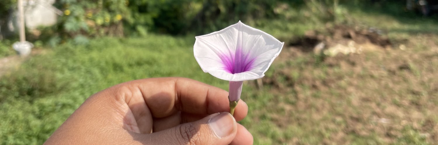 user_shubh's profile banner image