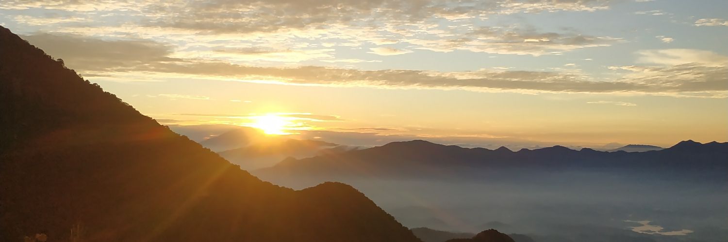 Armandhonari's profile banner image