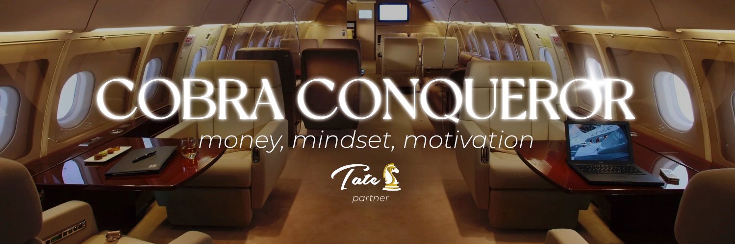 🛩️ Cobra Conqueror banner