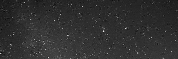 Danni banner