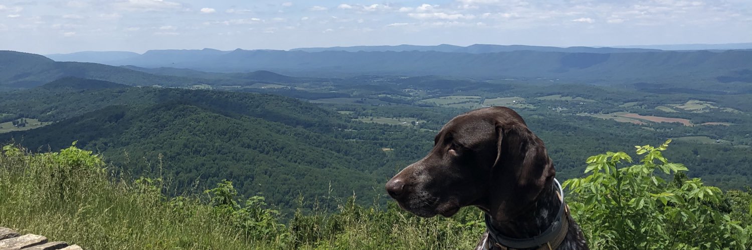 ohwowmichaela_'s profile banner image