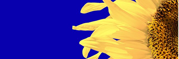 R1_Crew Profile Banner