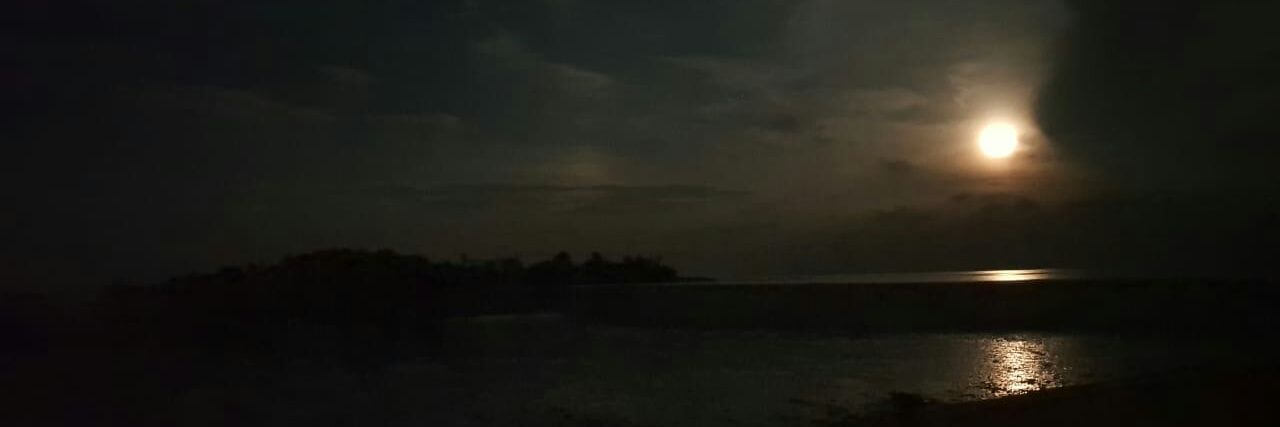 wisnu_man's profile banner image