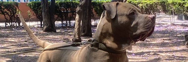 Ricardo080985 Profile Banner