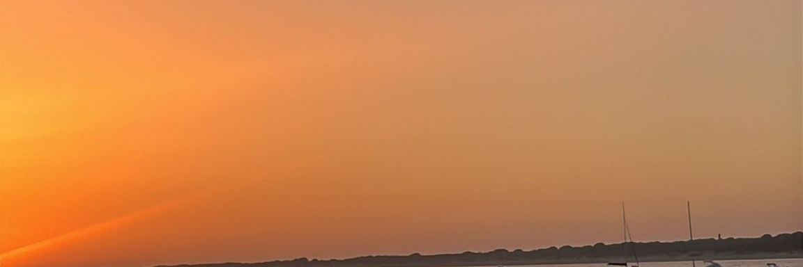 torre_0712's profile banner image