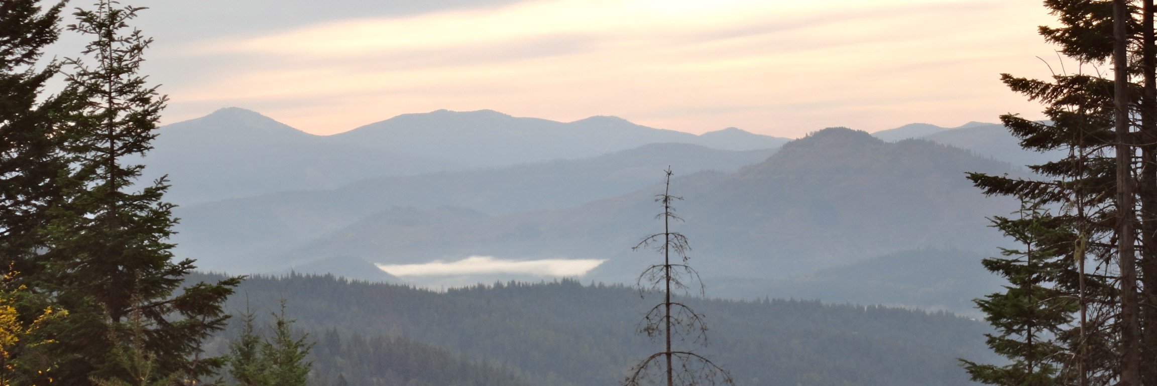 Heather Knox banner