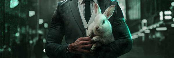 T8rabbit Profile Banner