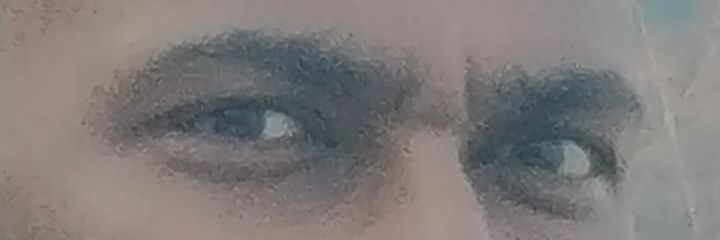 Ashish banner