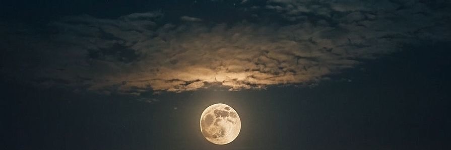 wl64_'s profile banner image