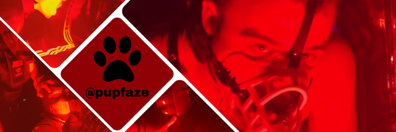 pupfaze's profile banner image