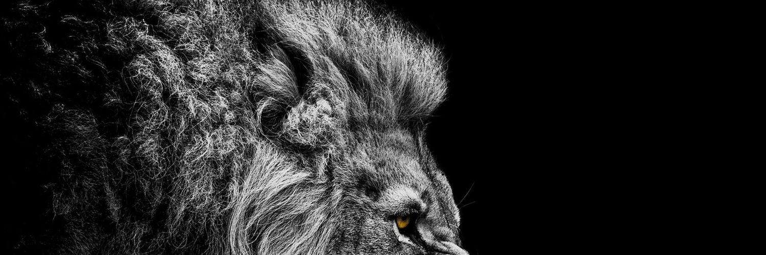 Hefhem_96's profile banner image
