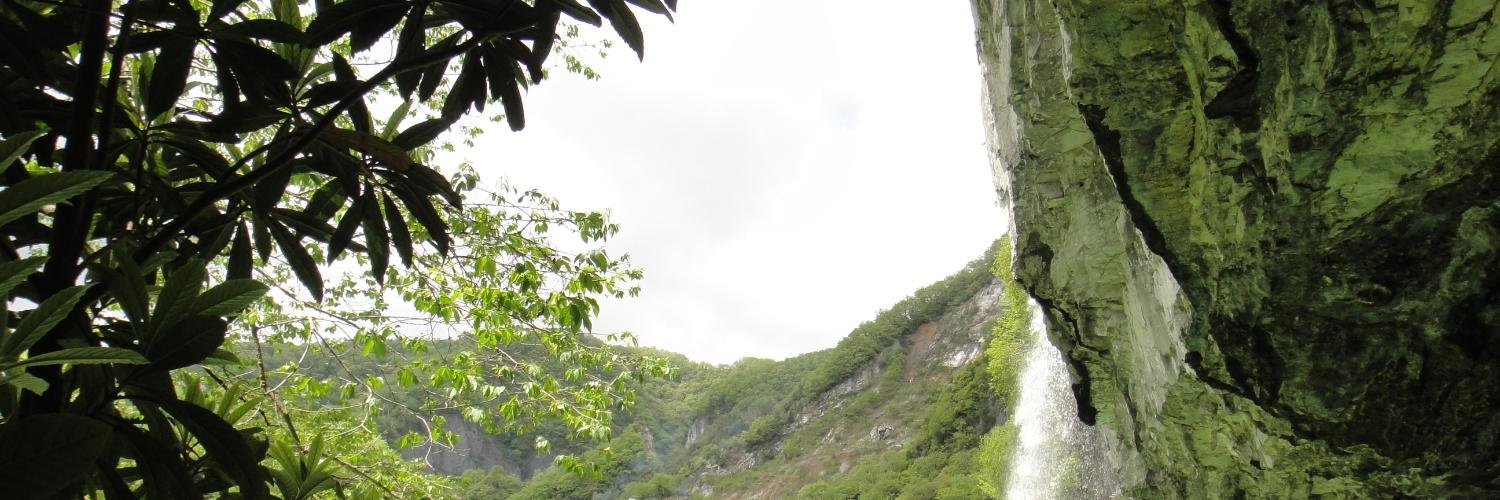 wasabineri's profile banner image