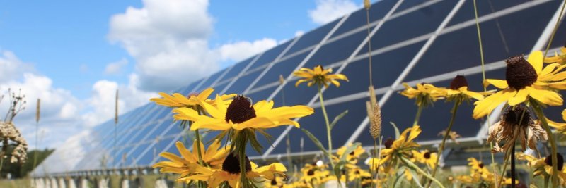 Rural Renewable Energy Alliance banner