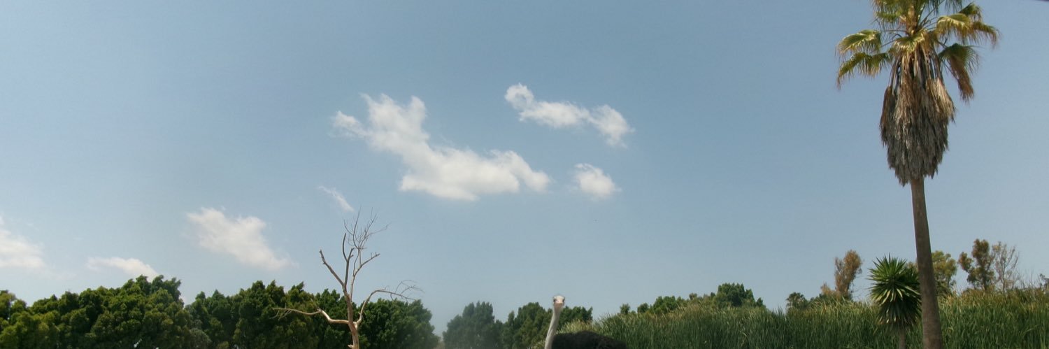 nabiiiu's profile banner image