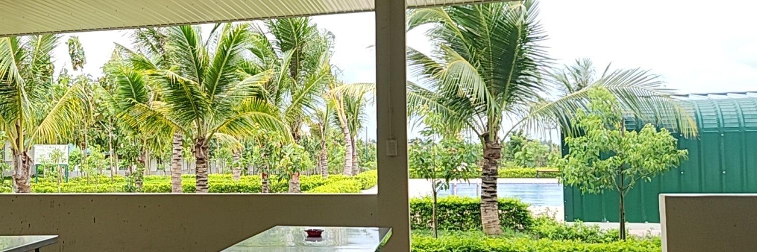 Võ Dũng | 4Son banner